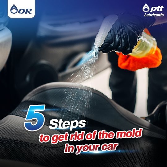 5 steps to get rid of the mold in your car